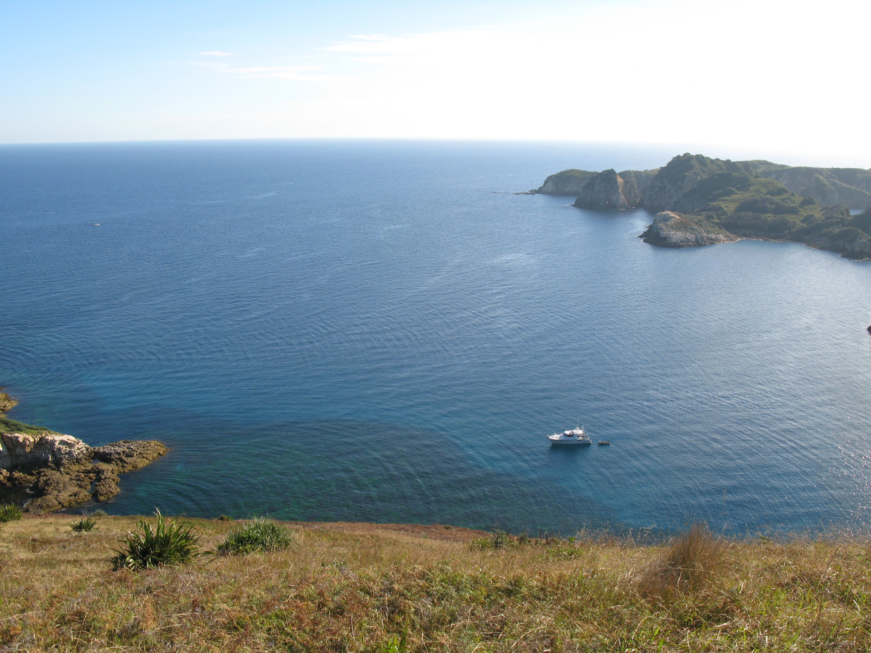 IMG_1659 – Burgess, Island, Mokohinau, University, Auckland, reserach, vessel, Hawere, crispin, NZ, New Zealand, Zealand, New